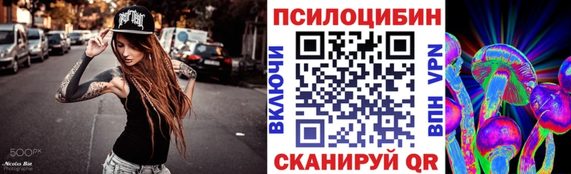 Псилоцибиновые грибы Psilocybe Апшеронск